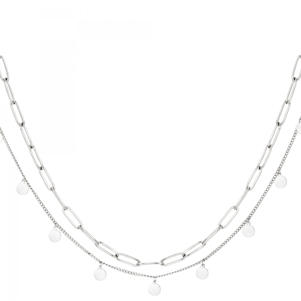 Double stainless steel necklace