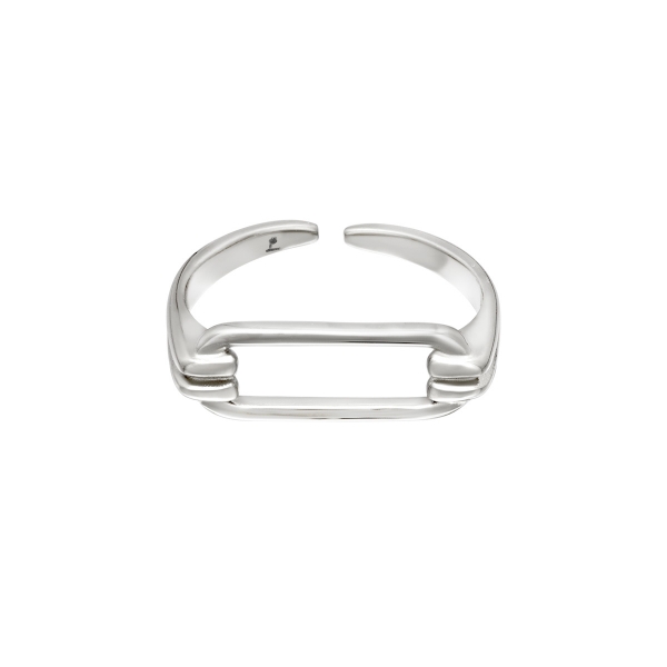 Geometrically shaped stainless steel ring