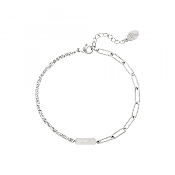 Stainless Steel Bracelet with Double Chain and Charm